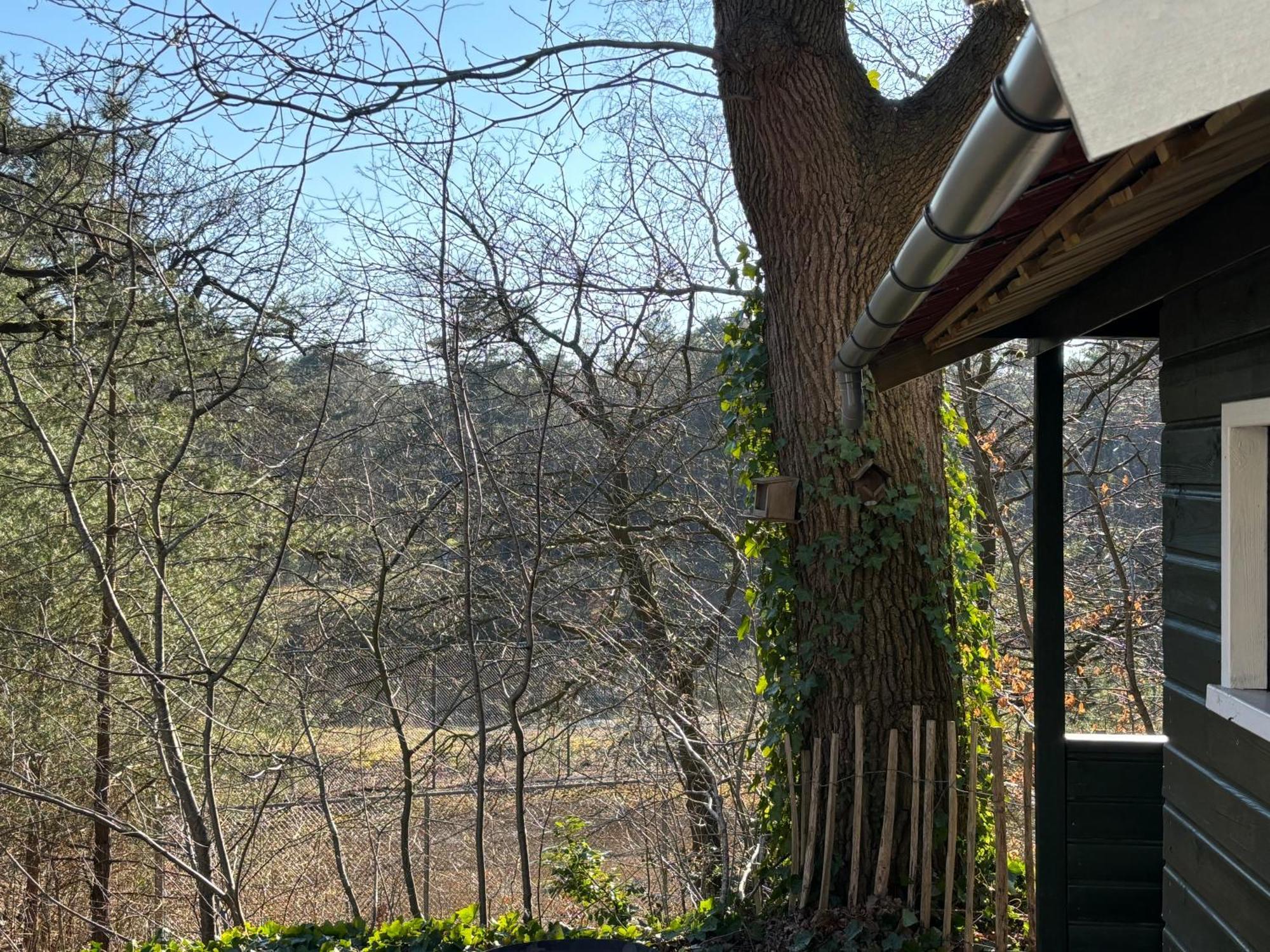 Vakantiehuis De Witte Bergen IJhorst Exteriör bild